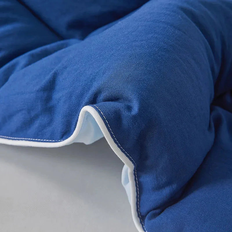 Mulberry Silk-Filled Comforter